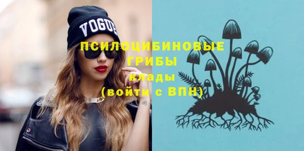 2c-b Богородицк