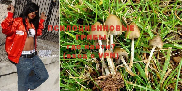 прущий лед Белоозёрский